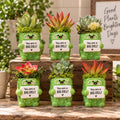 Surprise Pickle Buddy Succulent Planter