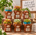 Highland Cow Succulent - Surprise Buddy
