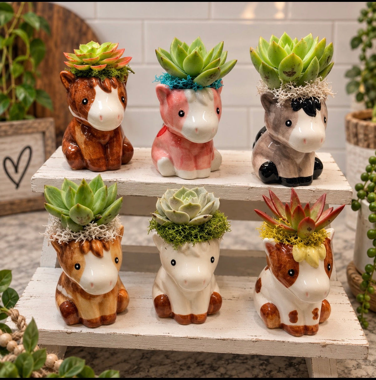 Horse Plant Buddy