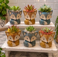 Large Ceramic Fox Succulent Planter - Surprise Color