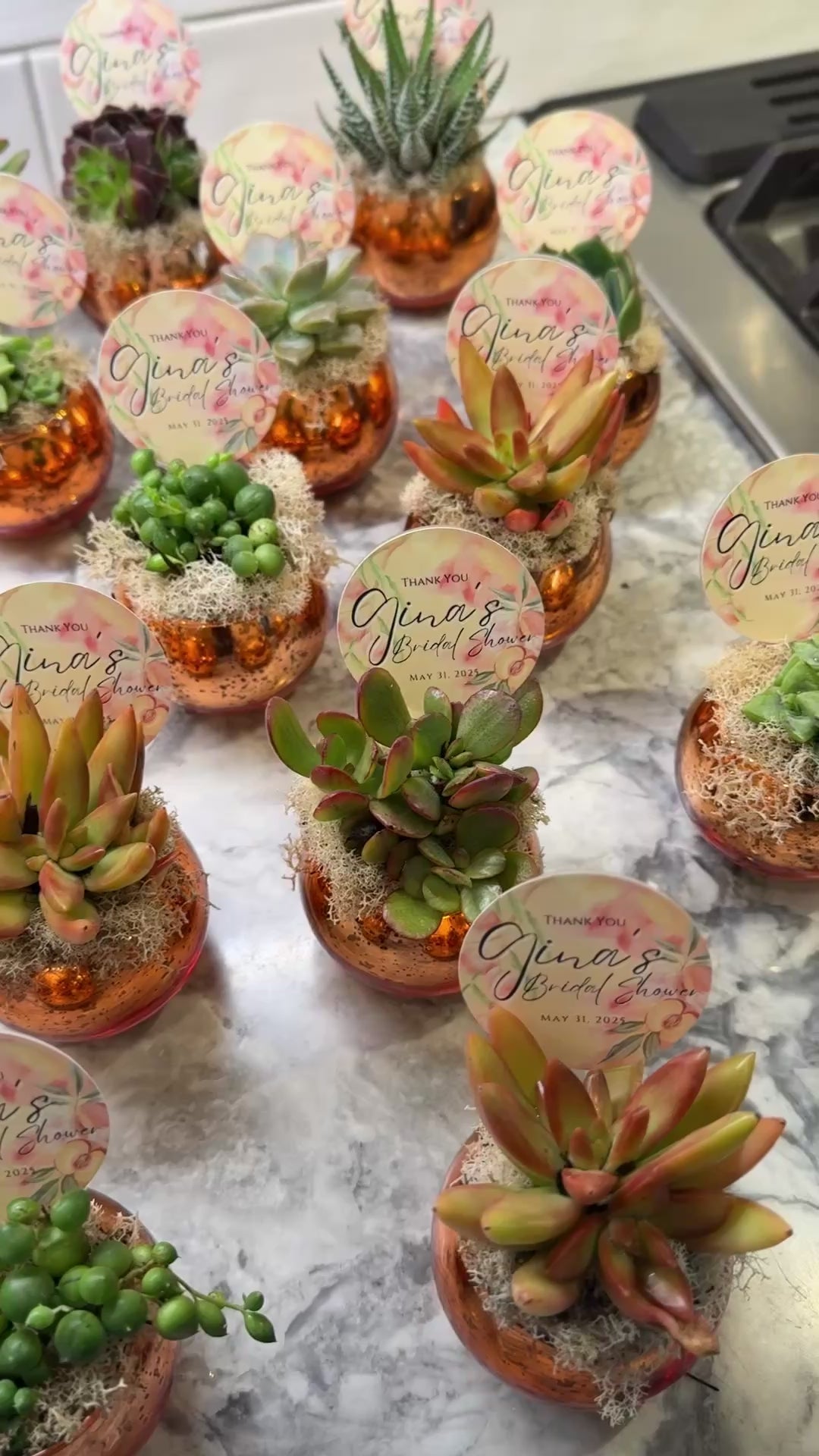 Colored Glass Succulent Favor - Customizable -Set of 10