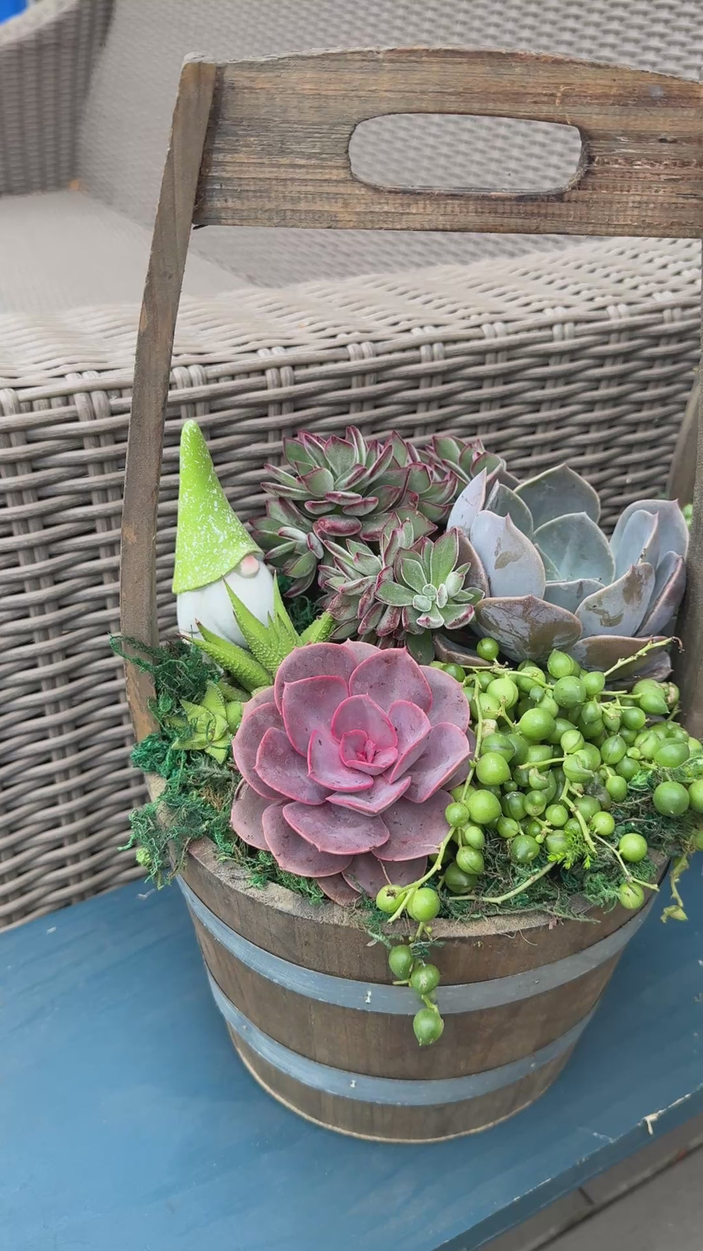 Wishing Well Succulent Arrangement