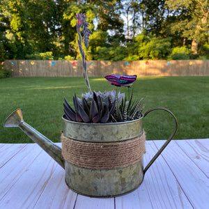 Watering Butterfly Terrarium
