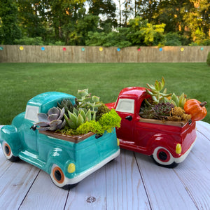 Farmhouse Truck Terrarium