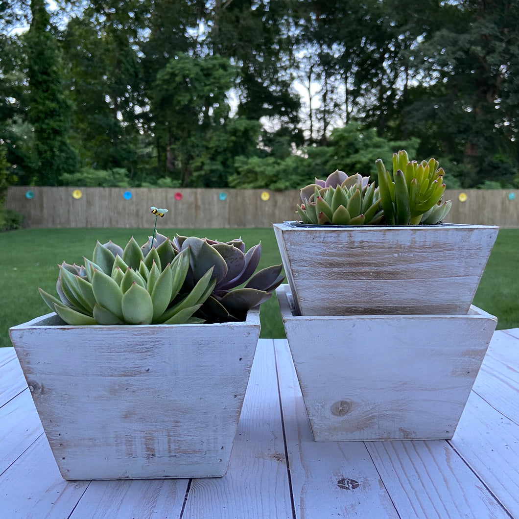 White Rustic Container
