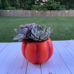 Ceramic Pumpkin Container