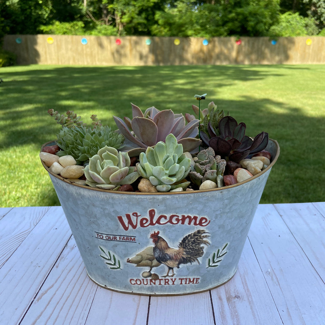 Country Time Terrarium