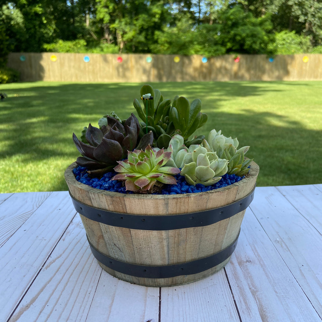 Rustic Whiskey Barrel/ Wine Barrel Terrarium