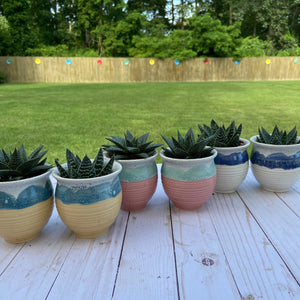 Terra Cotta Pot Terrarium with Aloe