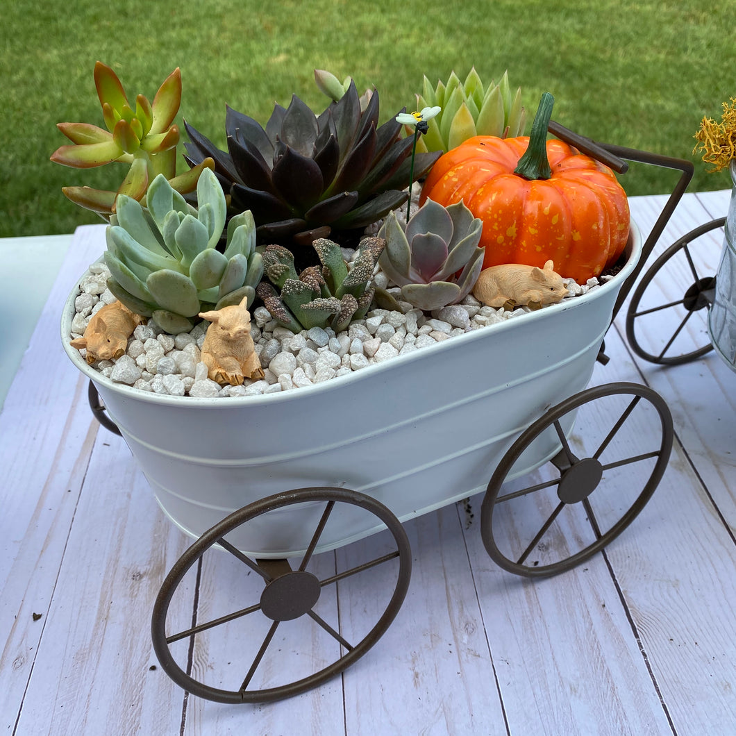 Autumn Wagon Terrarium kit