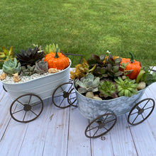 Load image into Gallery viewer, Autumn Wagon Terrarium kit
