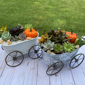 Autumn Wagon Terrarium kit