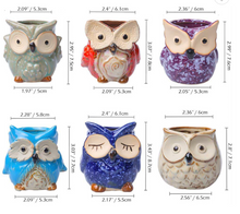 Load image into Gallery viewer, Plant Buddies (Owls) - 6 Pack with succulents! SAVE $
