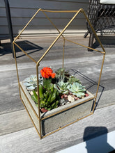 Load image into Gallery viewer, Xtra Large Bronze Succulent House
