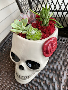 Sugar Skull Terrarium