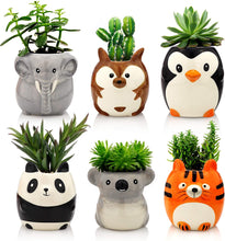 Load image into Gallery viewer, Plant Buddies (Safari Animals) - 6 Pack with succulents! SAVE $

