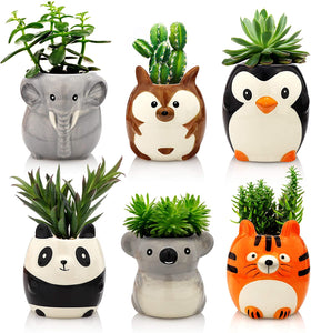 Plant Buddies (Safari Animals) - 6 Pack with succulents! SAVE $